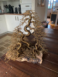 Upright/ InformalBonsai Sculpture (Bronze Color)